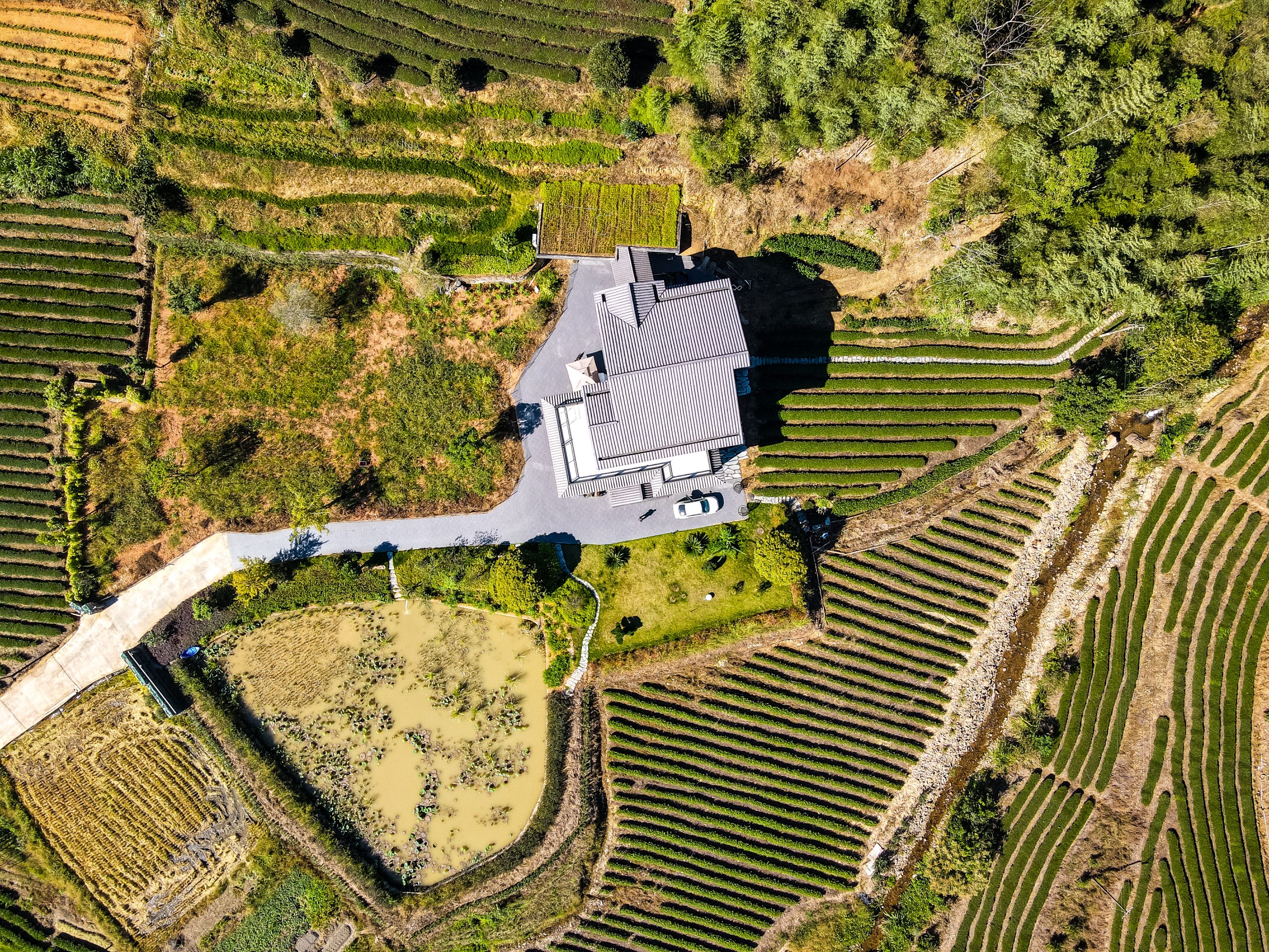 4K高清壁纸分享